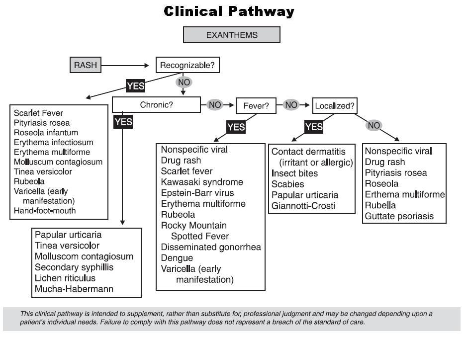 Viral Exanthem Chart Micro 14 20 Viruses Flashcards Quizlet